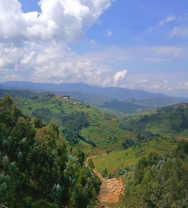 Rwanda - Parc national de l'Akagera