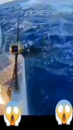 Large Sea Turtle Swimming in Clear Ocean Waters