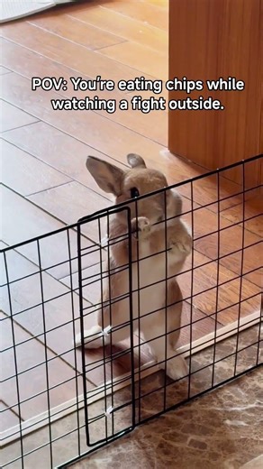 POV: You’re eating chips while watching a fight outside.