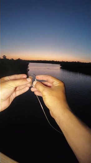 How To put A Fiddler Crab On Your hook LIKE & SUBSCRIBE TIKTOK/#Reyes,Fl #fishing #fyp