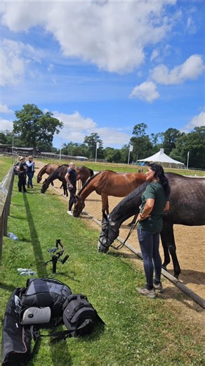 1.6K views · 60 reactions | A busy June for the RoR team! From...