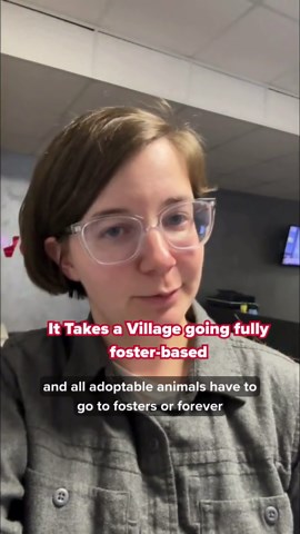 It Takes a Village going fully-foster based, closing animal shelter