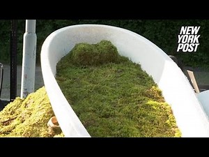 Can You Believe This Incredible Coffin is Completely Gone in 45 Days? | New York Post