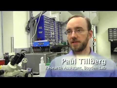 Expansion Microscopy Explained