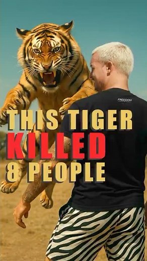 This Tiger Killed 8 People❗️