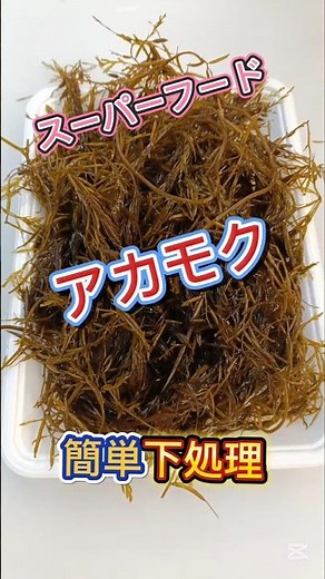 アカモク【ギバサ】の簡単 下処理方法 #アカモク下処理 #アカモク茹で方 #ギバサ