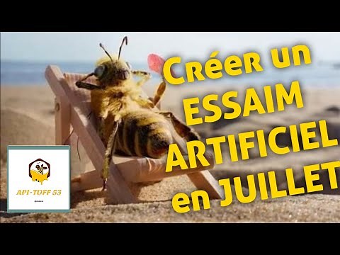 Beekeeping July: HOW TO MAKE AN ARTIFICIAL Swarm IN JULY