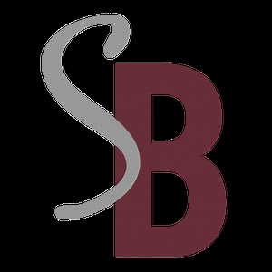 Michelle Obama's persuasive power - Suzannah Baum