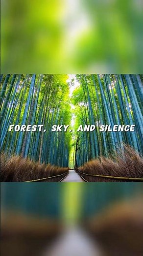 Kyoto's Bamboo Forest | Arashiyama Grove | Kyoto Japan Travel Documentary