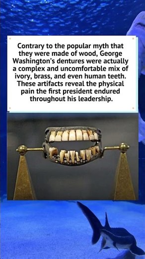 The Truth About George Washington's Teeth 🦷