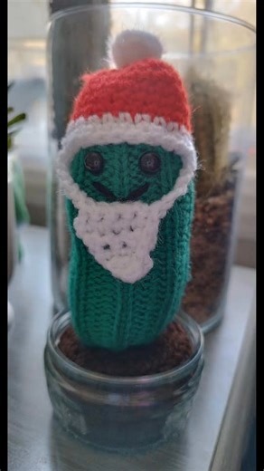 4 comments | The Forever Cacti are rocking their festive best for next week's amazing Winter Fest at Torre Abbey 勺 xxxx | Buttons Knits & Bits | Facebook
