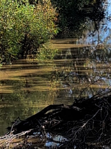 Rebecca Tickle on Reels