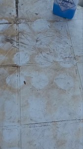 255 reactions · 74 shares | Blue Sapphire on Reels | Facebook