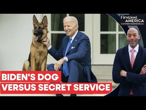 US President Joe Biden’s Dog "Commander" Bites Secret Service Agents 24 Times | Firstpost America