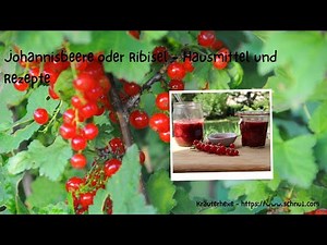 JOHANNISBEERE oder RIBISEL - Hausmittel und Rezepte