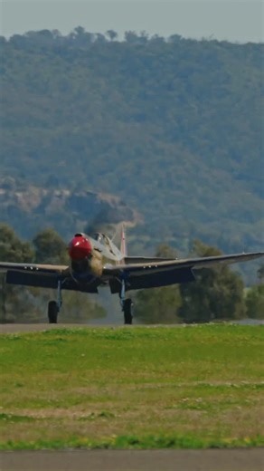 Pays Aviation on Instagram: "Pay’s P-40 landing 😍. #warbird #warbirds #pilot #ww2planes #p40 #kittyhawk #v12 #fighterplane"
