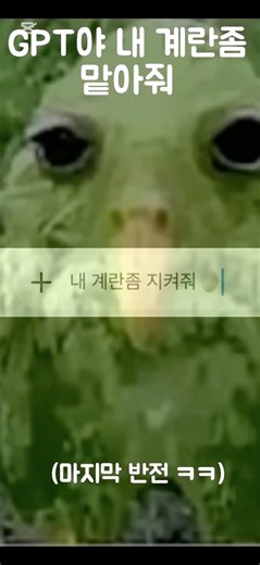 GPT야 내 계란좀 맡아줘