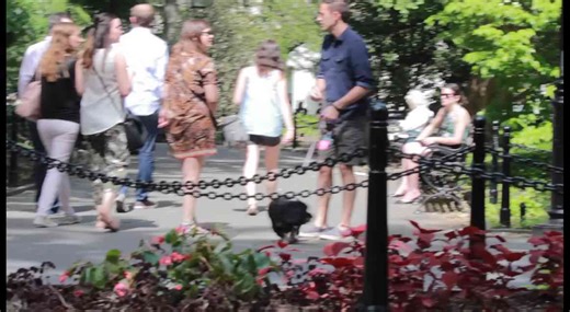 I HAVE TO POOP (Pooping My Pants Prank)