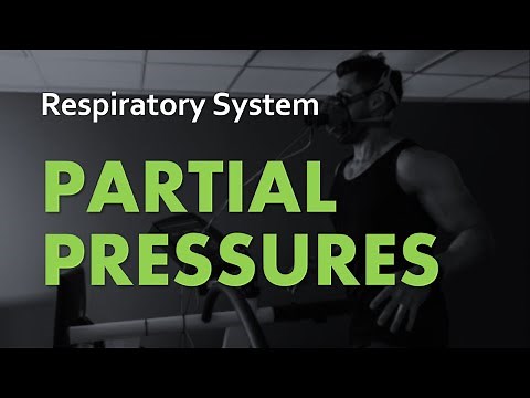 Partial Pressures | Respiratory System 04b | Anatomy & Physiology