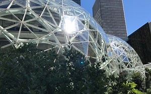 How Does Compensation Work at Amazon?