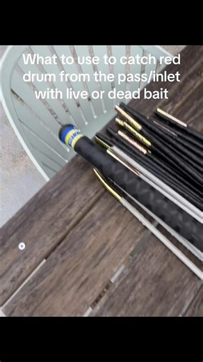 Essential Gear for Catching Red Drum Fishing