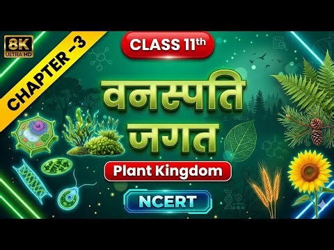 One Shot : Chapter 3 Plant Kingdom (वनस्पति जगत) | Class 11th Biology | Complete Chapter NCERT