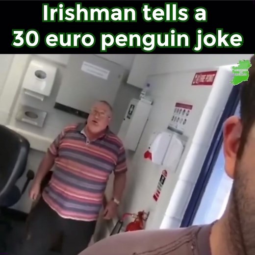 Irish Comedy Sketch: The Penguin Encounter