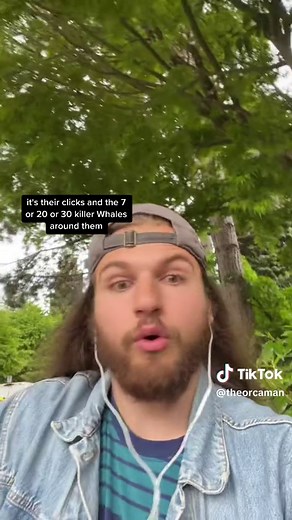 Understanding Orca: Killer Whale Sound Information Dump