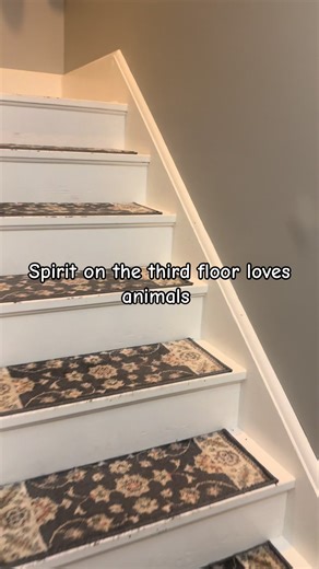 Spirit on the third floor loves my animals #spirit #ghost #animals #1907 #house