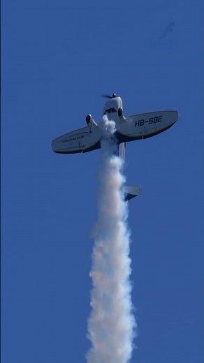 This is NOT a falling leaf, it's a PLANE! 🤯 Mudry CAP-10B