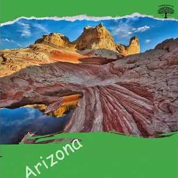 🌈 Rocky Mountain States Mnemonic (North Western American CUMIN)