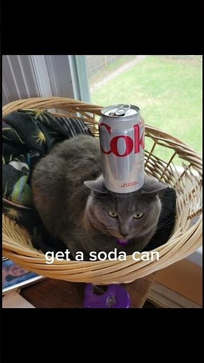 how to open a soda can tutorial part 62 #cat #catmeme #catphoto #usefultips #helpful #kitten #fypシ
