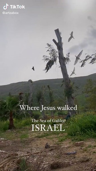 Jesus of Galilee - Exploring the Holy Land and Biblical Sites