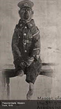 BIZARRE Baboon Soldier of WWI | Bizarre History Ep. 17 #bizarrehistory #history #ww2