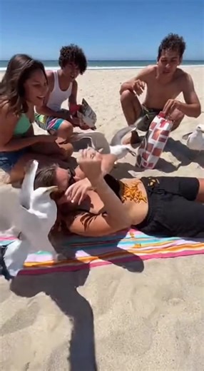 Friends’ Beach Prank Turns Chaotic as Seagulls Swarm Sleeping Woman Santa Monica, CA — What began as a harmless beach prank quickly spiraled into chaos when a group of friends decided to take advantage of a sleeping companion—and the ever-watchful seagulls nearby. The video shows a young woman asleep face-down on a beach towel, unaware as her friends quietly place snacks across her back and waist. Within seconds, seagulls circling overhead swoop down, crowding around her and aggressively grabbin