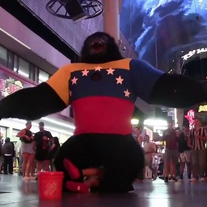 Gorilla Goes Crazy, Las Vegas Live.'