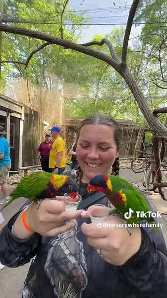 Experience the Best Zoo in the US at Nashville Zoo