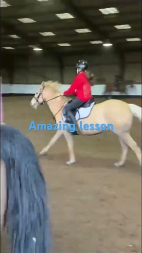 Good Lesson #pony #horse #ponypower #showjumping #equestrianjourney #equestrian #horsegirl #lemeiux