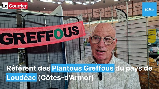 Lutter contre les pucerons avec les Plantous Greffous du pays de Loudéac (Côtes-d'Armor)