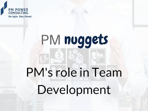 PM Nugget- PM's role in team development