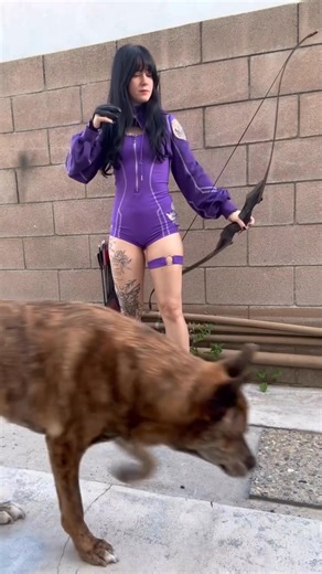 2K views | This is what training looks like. #archery #dogtraining #germanshepherd #dog | Sabrina Alexis | Facebook