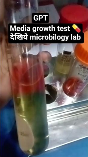 Media growth test 💊देखिये microbilogy lab 🔬🔬🔬🔬🔬🔬 lab work #microbiology