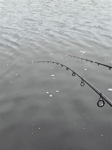 Mastering Feeder Fishing Techniques