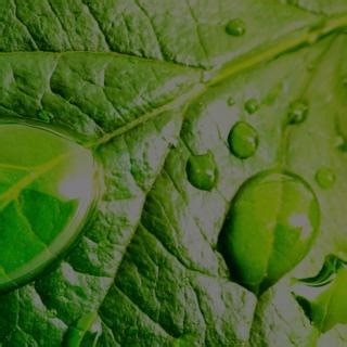 Webinar live now | Powering sustainable business – Smart strategy, clear reporting and cutting-edge tech. Join leading voices discussing the prospects for the global green transition, accounting for carbon-related instruments, implementing sustainability reporting, the key requirements of ISSA 5000, and how to make AI work for sustainability. Streaming live today, 29 April https://ow.ly/u03O50VIHZA Join the conversation and be part of the solution. #GreenTransition #Sustainability #ClimatePolicy