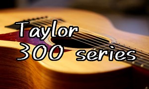 Taylor312,14,17,52,ce,V-classって何？おすすめ