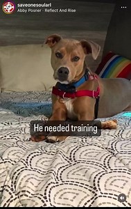 16K views · 2.8K reactions | The day has FINALLY come! After over 2...