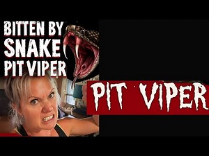 Snake Bitten by Pit Viper Survival Guide