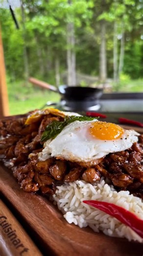 🔥 Wok this way! Just sautéed some Thai chicken magic in my new @cuisinartoutdoors Outdoor Wok Station 🔥 the flavor, the sizzle, the vibe… all next level. What’s in the wok: – Chicken thighs – Garlic, ginger, chili 🌶️ Simple sauce: – 2 tbsp soy sauce – 2 tbsp oysters sauce – 1 tbsp fish sauce – 1 tbsp lime juice – 1 tsp brown sugar Sticky, savory, spicy—straight fire. #WokAndRoll #ThaiBBQ #CuisinartCrew #outdoorcookingvibes | GrillHunters