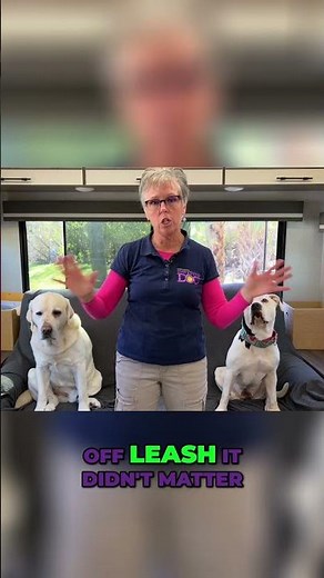 Dog Trauma: How Past Scares Shape Your Pup's Behavior