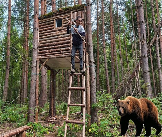 5.7K views · 86 reactions | Escaped from Bear Attack in a Tree House | Viral Camping | Facebook